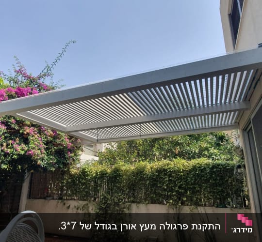 פרגולה לבנה עם צמחייה ירוקה ופרחים סגולים